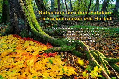 Gutschein Fotokurs Herbst