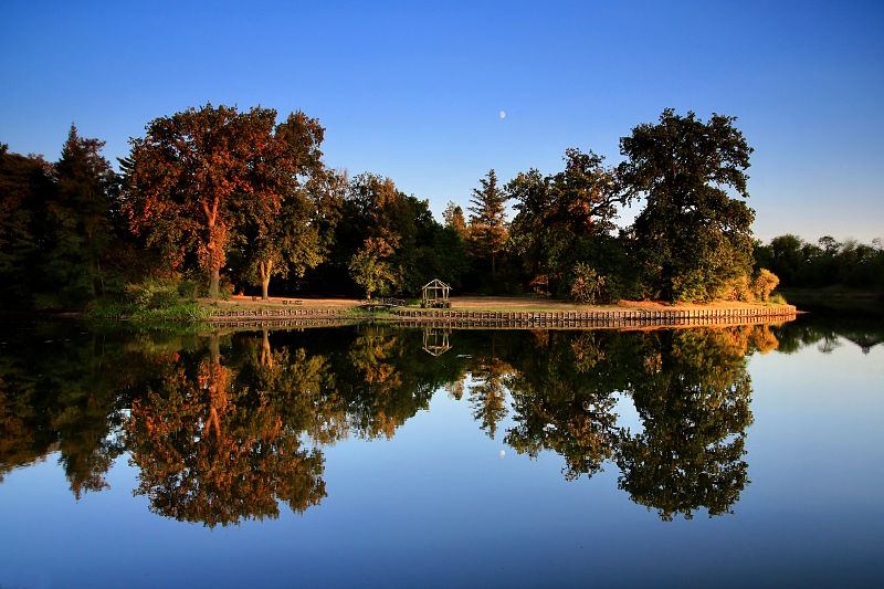 fotokurs anhalt dessau wrlitzer park