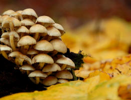 fotokurs naturfotografie