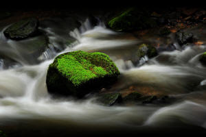 Fotokurs Wasserkuppe inder Rhn