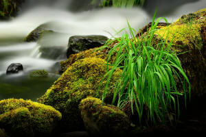 Fotokurs Wasserkuppe inder Rhn