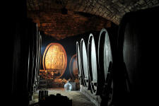 fotokurs rheingau weinromantik frankfurt rhein main fassweinkeller