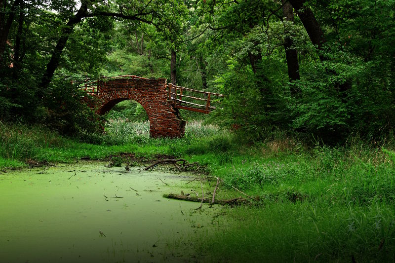 Fotokurs Geheimnisvolle Ruinen in Anhalt - Dessau und Wittenberg