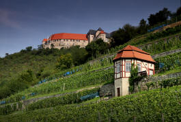 Fotokurs Weinlandschaft Saale-Unstrut 