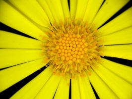 Fotokurs Naturerlebnisse mit dem Smartphone