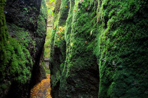 fotokurs drachenschlucht