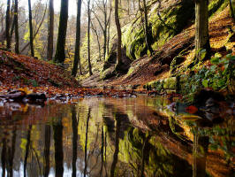 Fotokurs Landschaftsfotografie Thringen Hessen