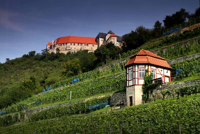 fotokurs landschaftsfotografie sachsen anhalt wein